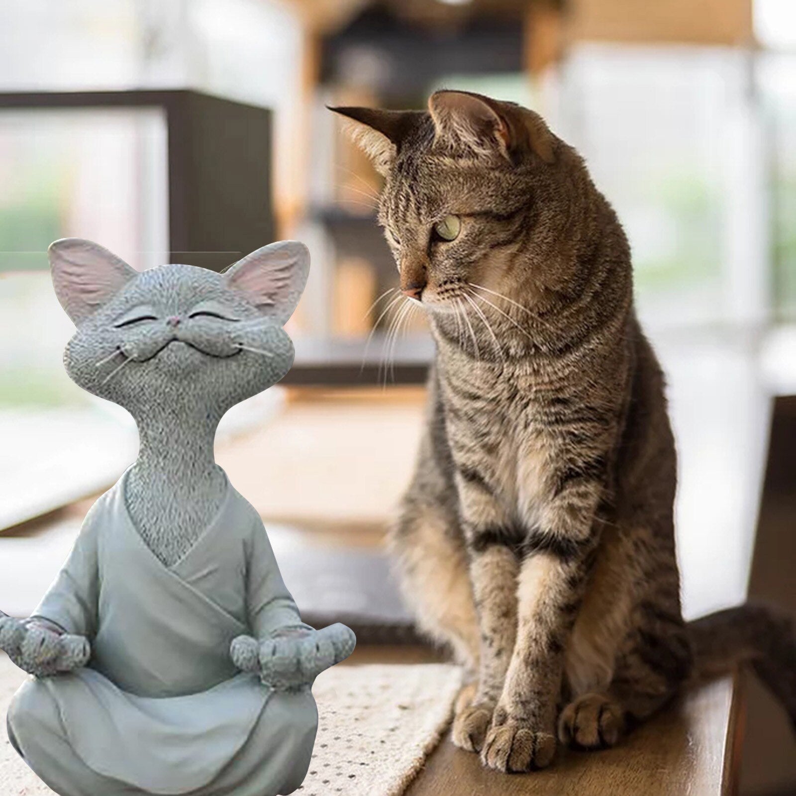 Nouveauté Partenaire Chat Zen©