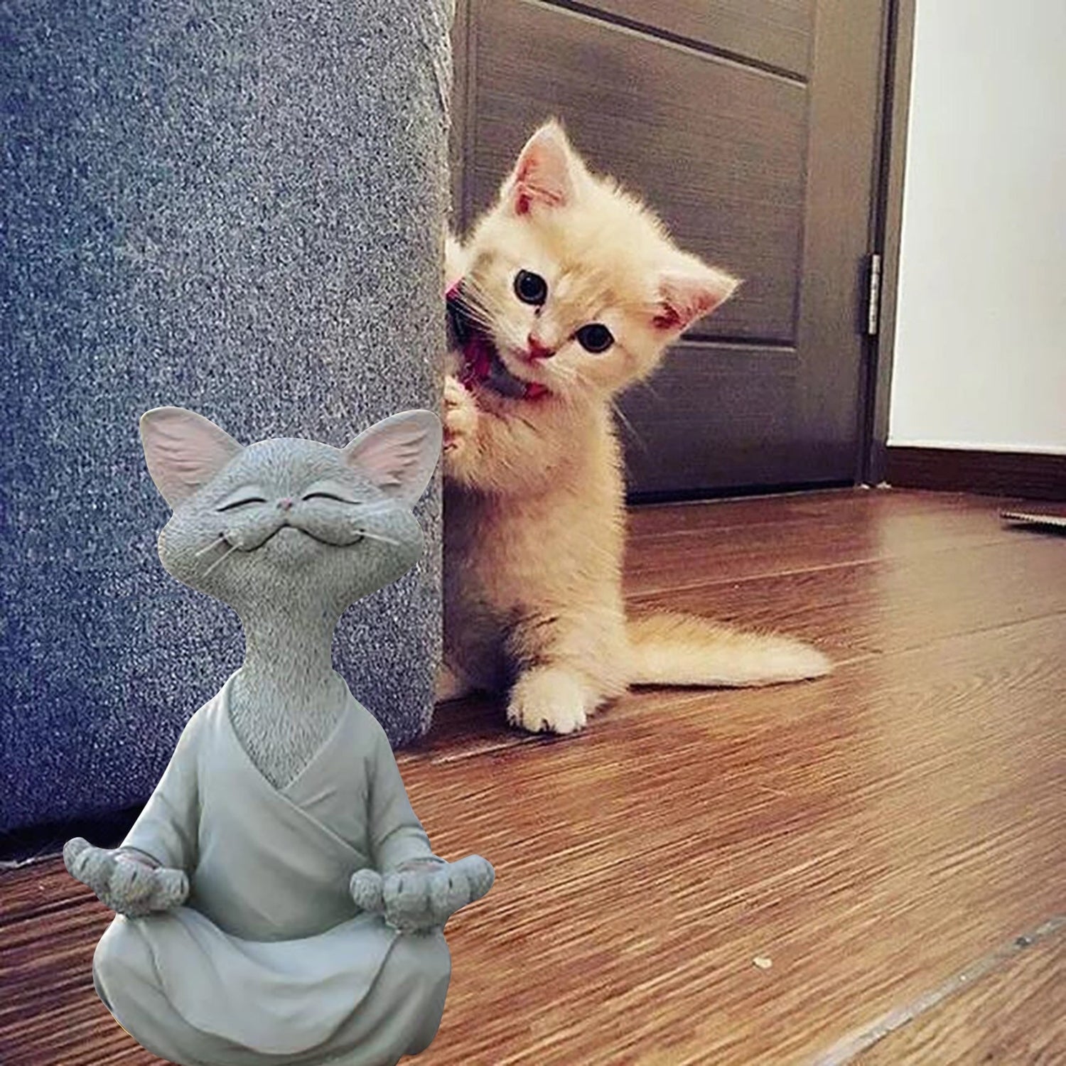 Nouveauté Partenaire Chat Zen©